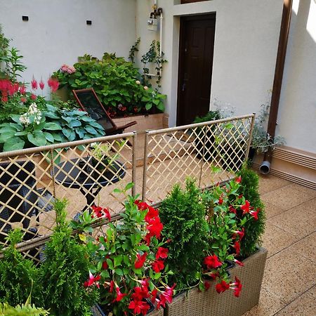 Cozy Green House Бухарест Экстерьер фото